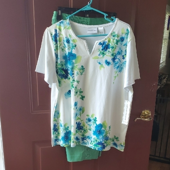 Alfred Dunner Floral Top LARGE & Green Classic Capris Size 10 - Picture 1 of 9